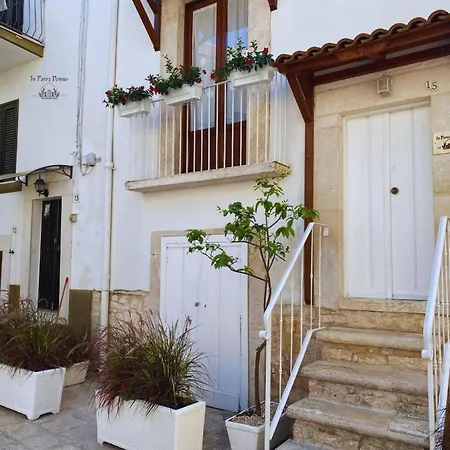 Apartment In Parva Domus - Cute And Mini *