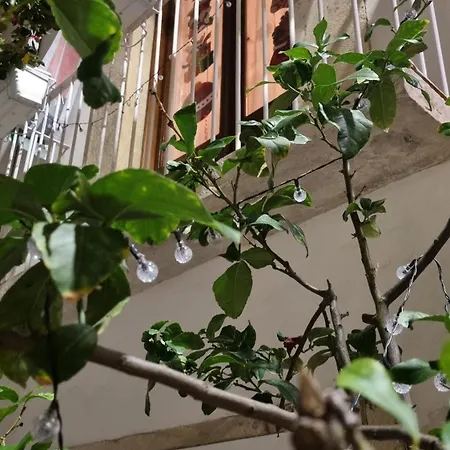 In Parva Domus Διαμέρισμα Bitonto