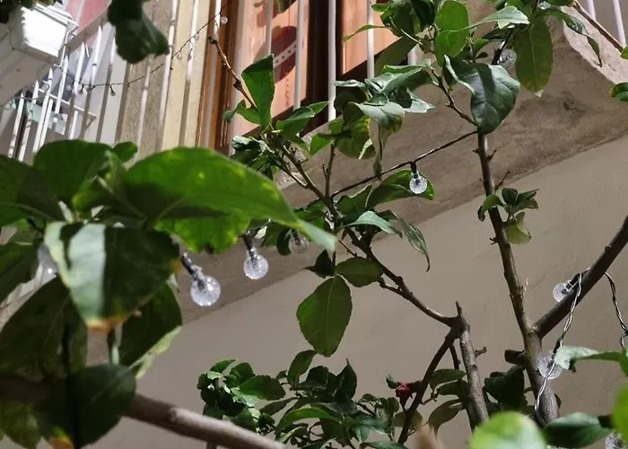 In Parva Domus Daire Bitonto